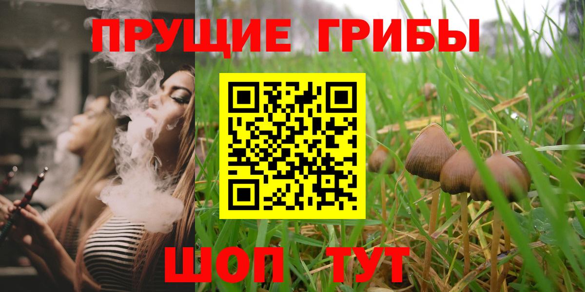 Галлюциногенные грибы ЛСД  Вход с VPN  Псилоцибиновые грибы MAGIC MUSHROOMS  купить наркотики цена  Ефремов 